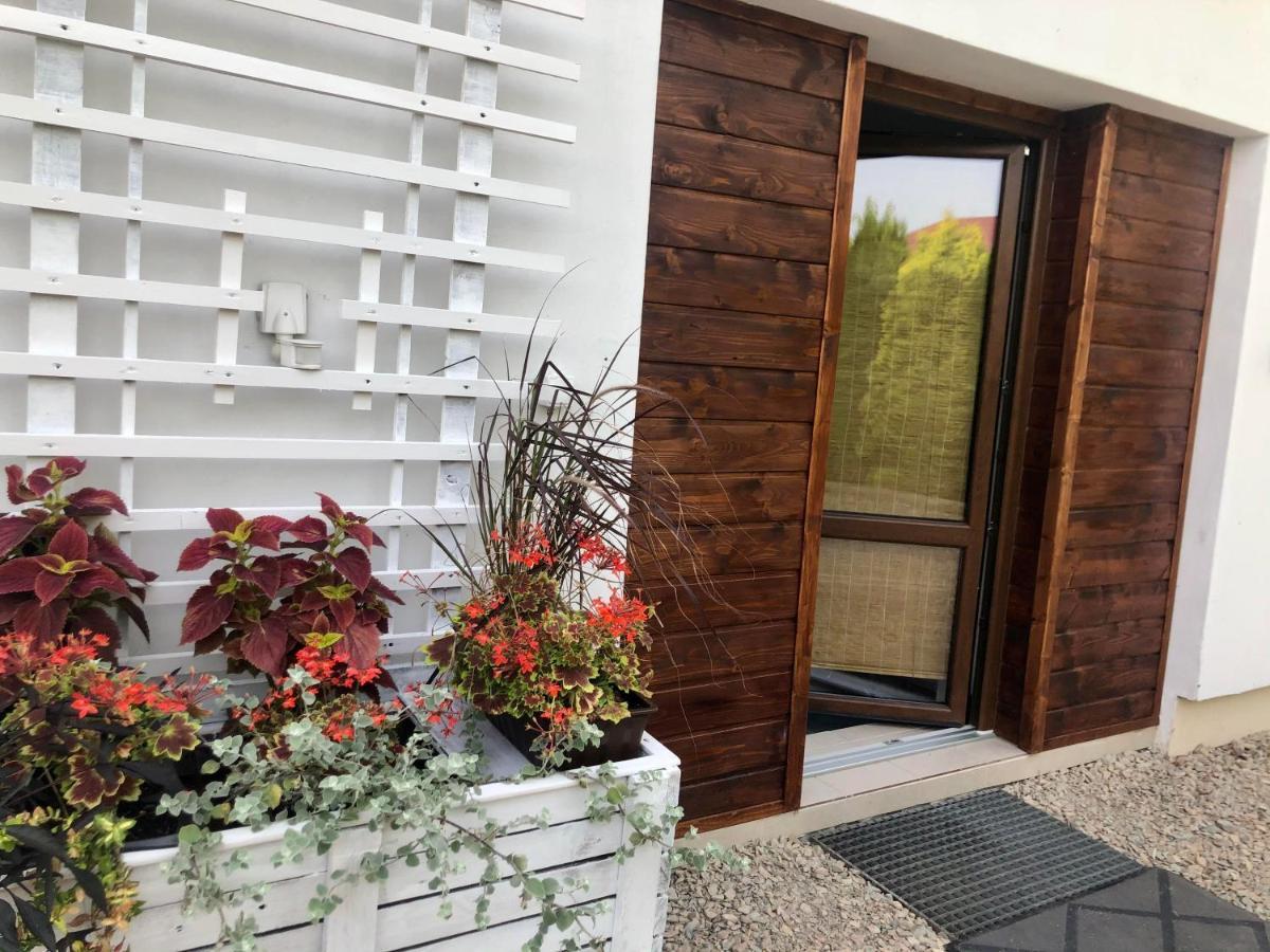 Apartament Studio I Apartament Zadomek Spytkowice Kolo Zatora מראה חיצוני תמונה