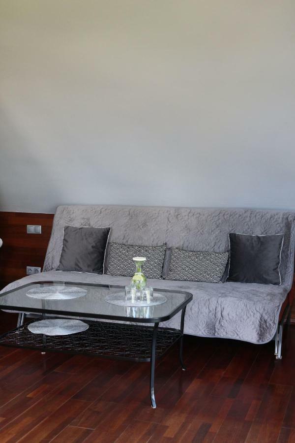 Apartament Studio I Apartament Zadomek Spytkowice Kolo Zatora מראה חיצוני תמונה
