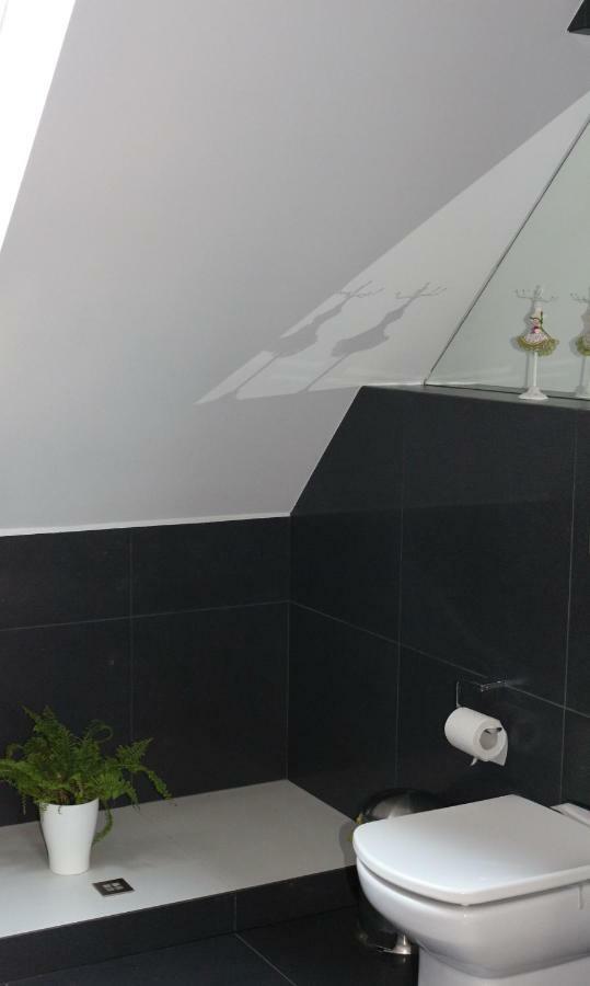 Apartament Studio I Apartament Zadomek Spytkowice Kolo Zatora מראה חיצוני תמונה